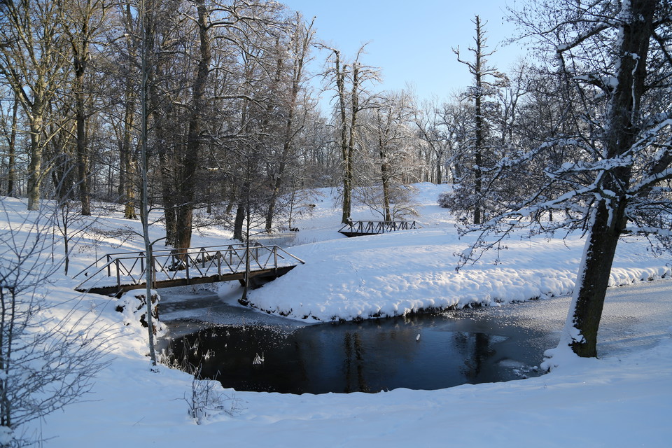 Tullgarns slottspark