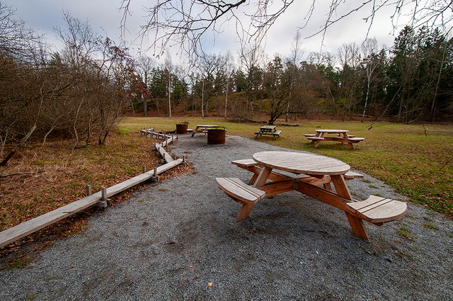 Grillplats i nordöstra delen av Hagsätraskogen