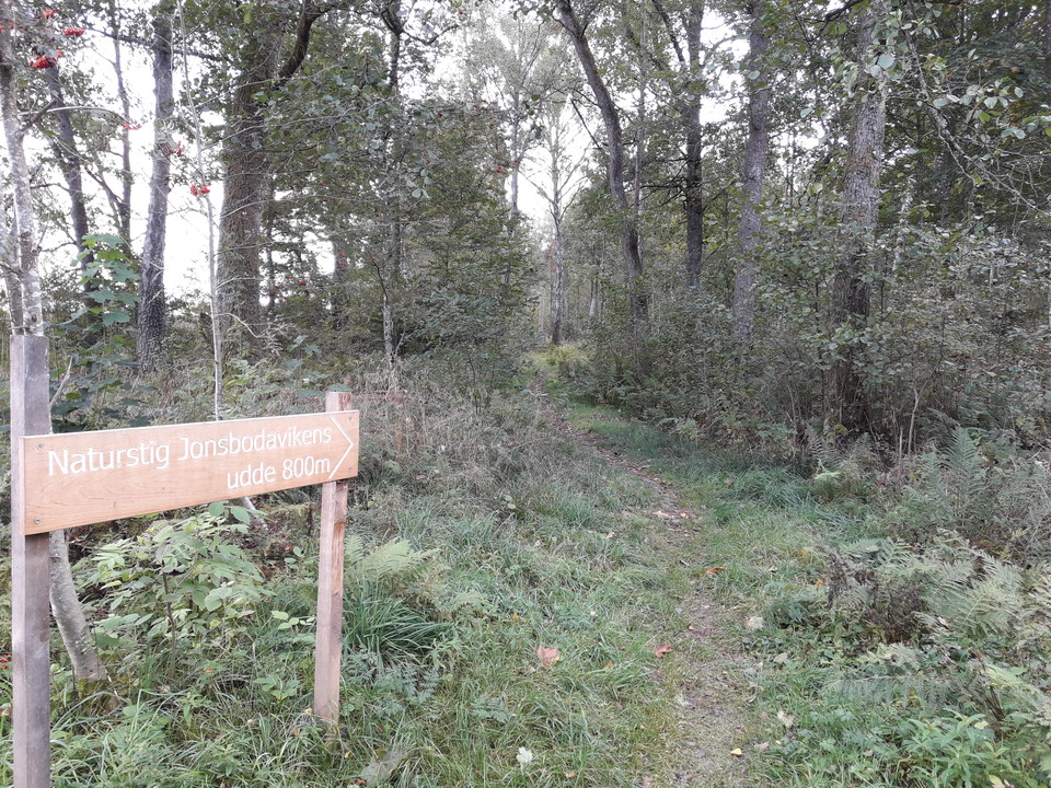 Vägvisning vid starten