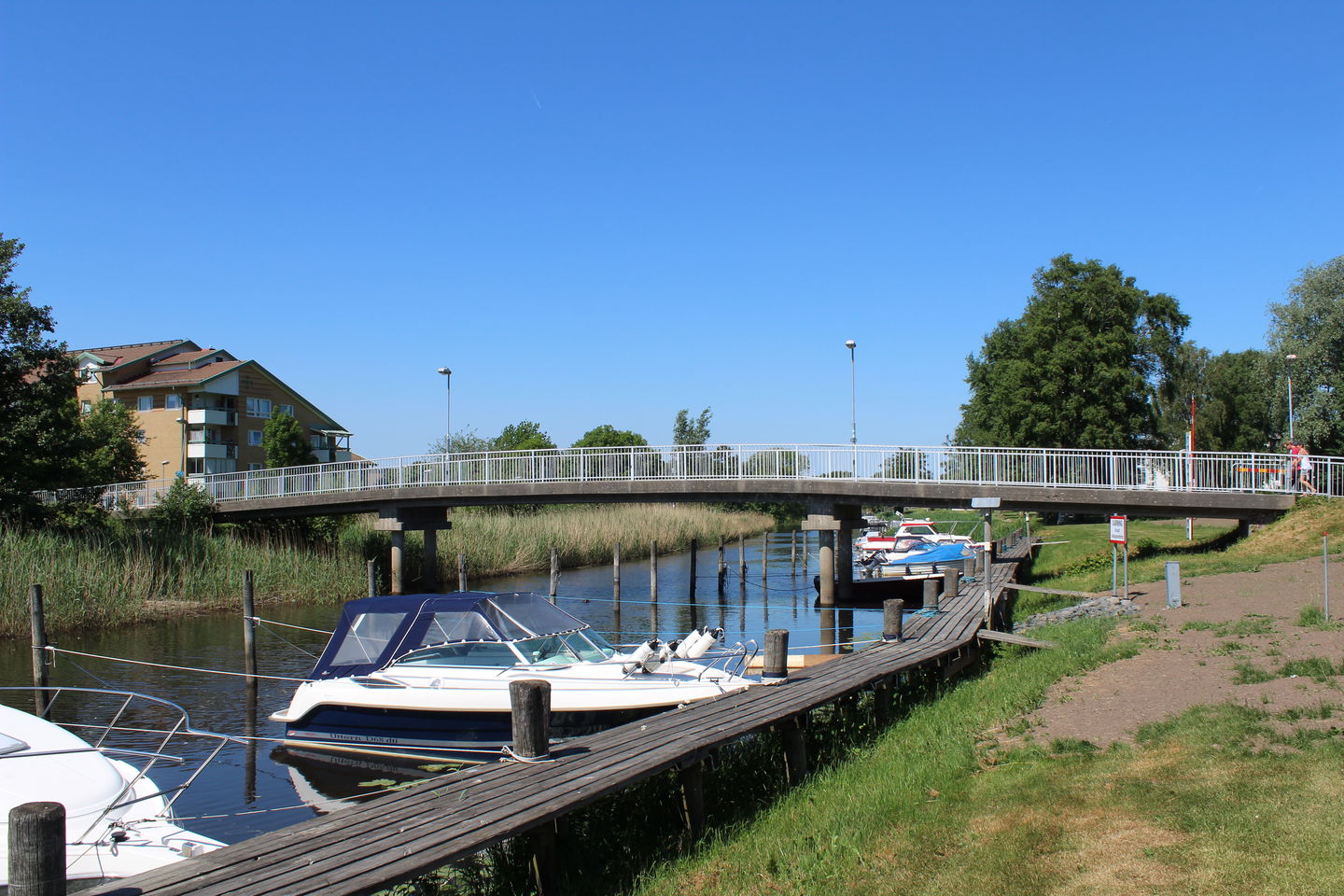 Kungsbackaån