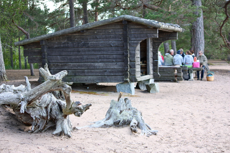 På en sandstrand med några stora rötter står ett vindskydd med hög tröskel. Bakom vindskyddet sitter flera människor vid ett bänkbord.