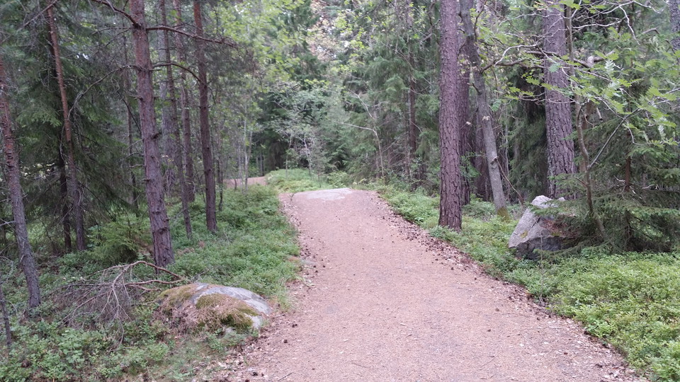 Lidingöloppsspåret norr om Rudboda. Foto Lidingö stad