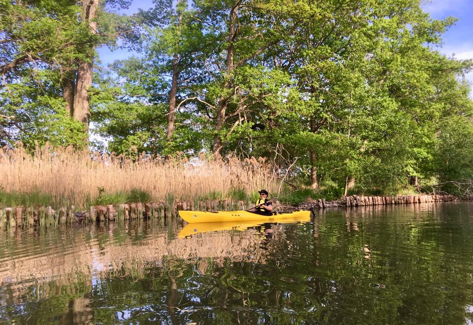 Paddling i Hjälmare kanal