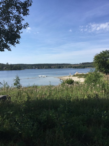 Juniskär