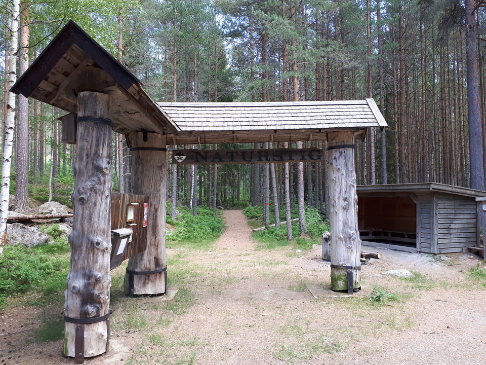 Välkommen till Vikskogen!