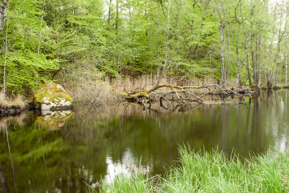 Fotograf: Tobias Ivarsson