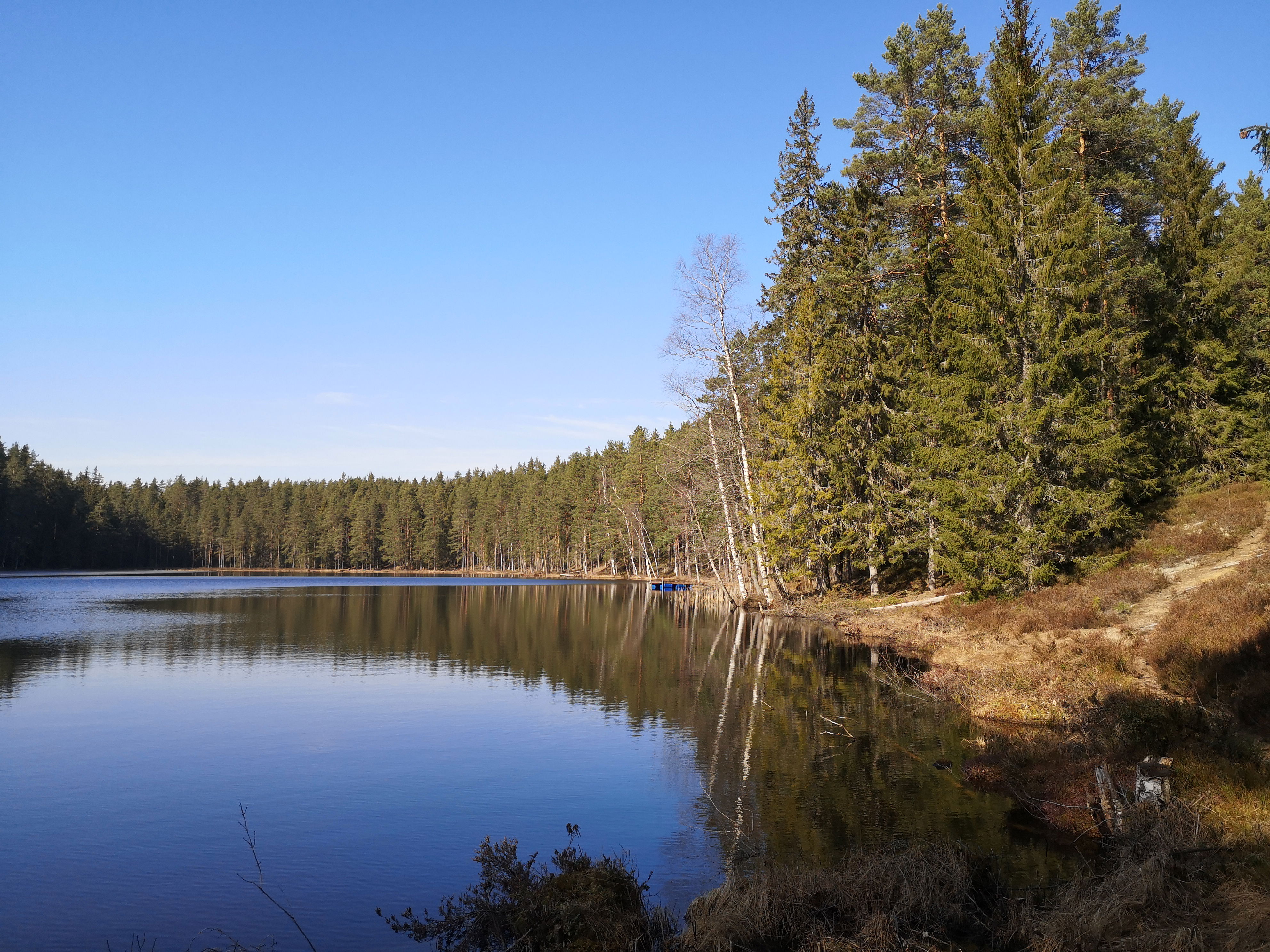 Abborrtjärn — Naturkartan