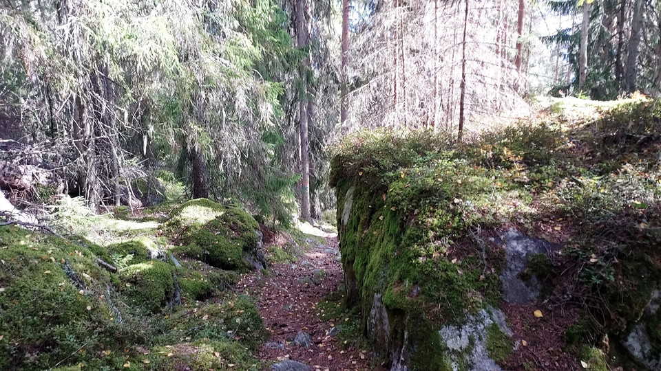 Toppleden Färila