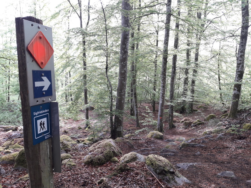Sigfridsleden visar vägen
