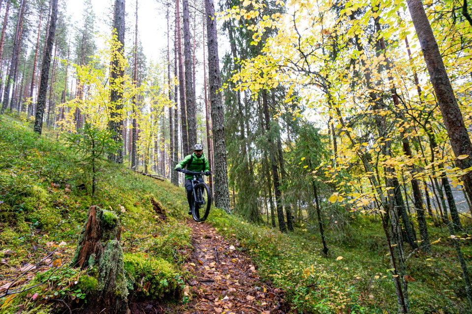MTB i ekoparken