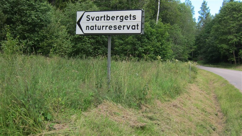 Svartberget