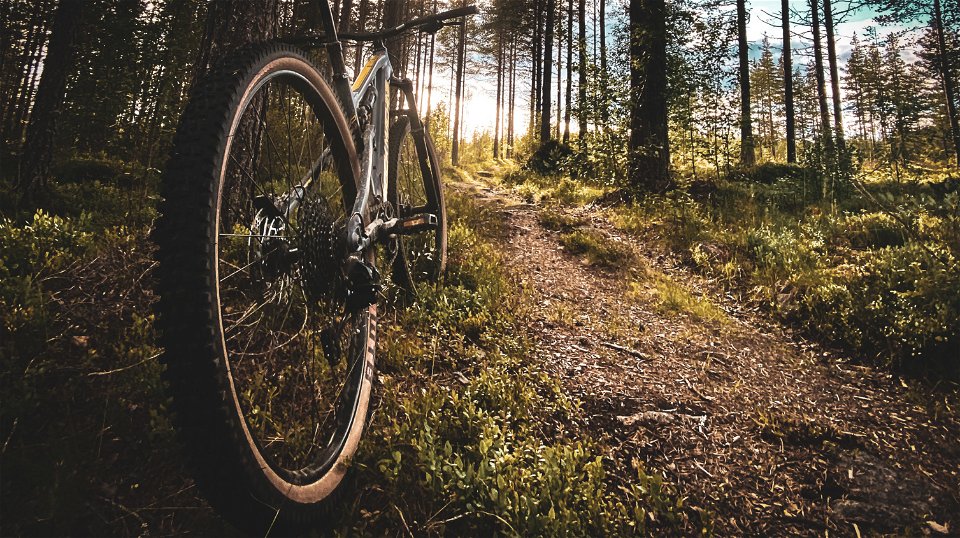 Cykel stående vid sidan av fin skogsstig