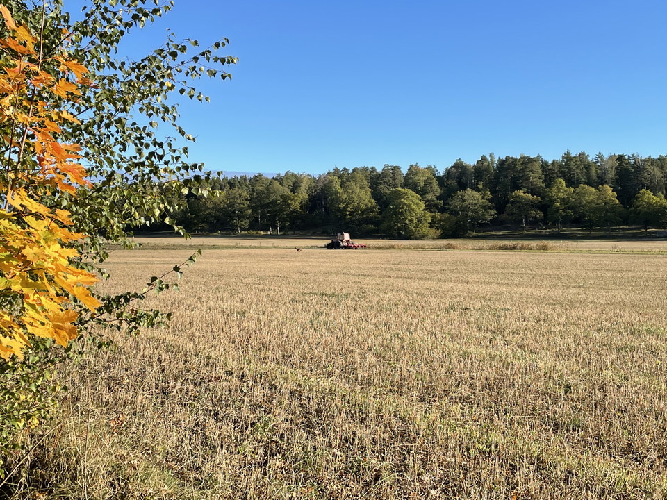En åker i Sundängen fotograferad under höst.
