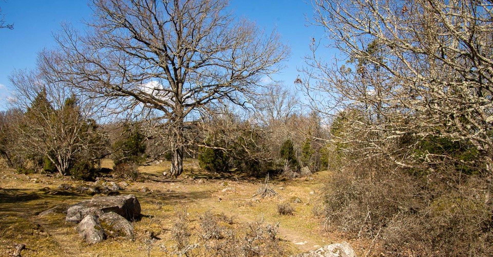 Bysjön runt.
Åtvidaberg.