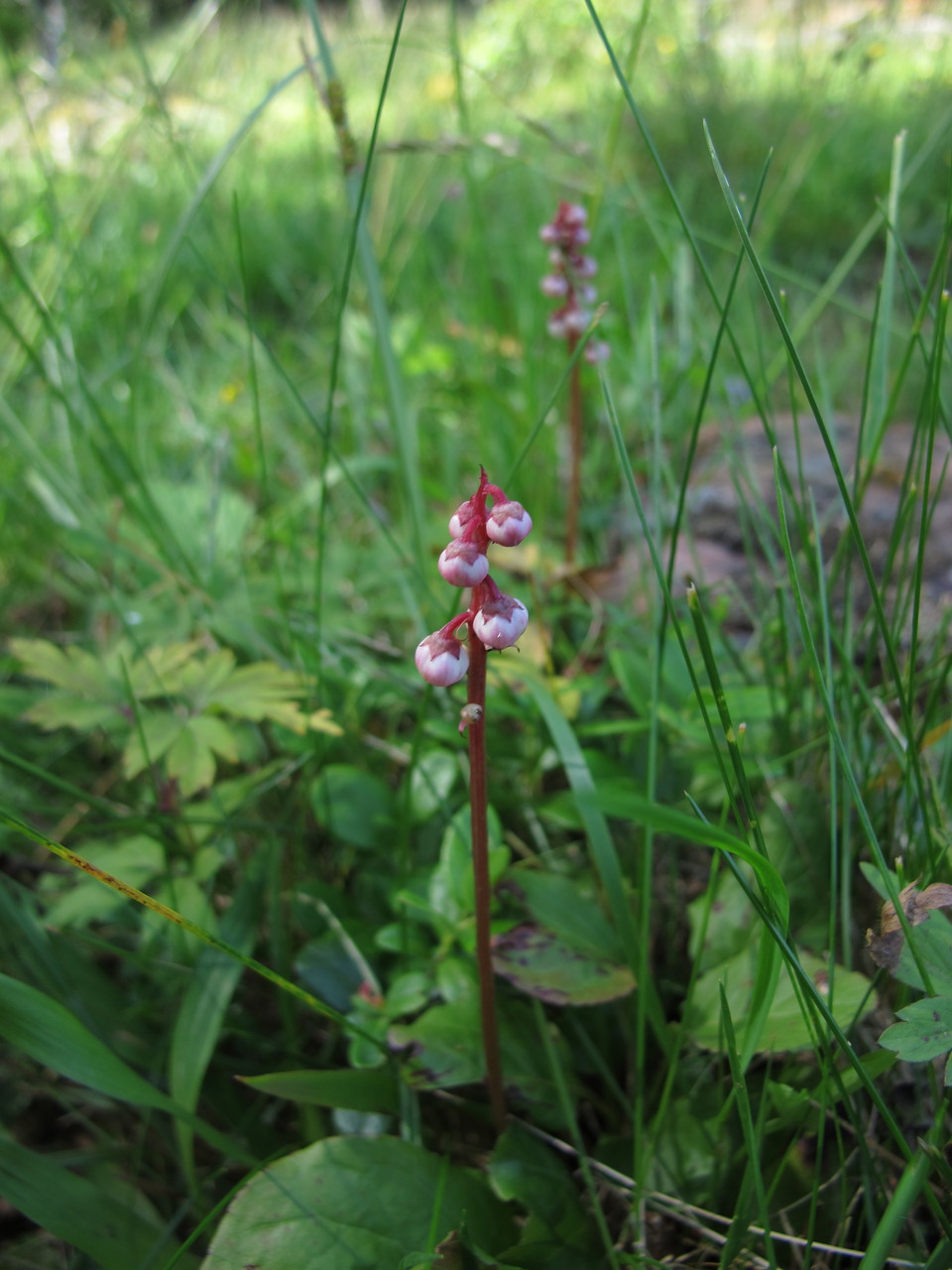 Fotograf: Elin Åkelius