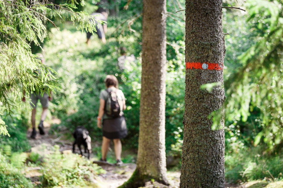 Foto: Hanna Maxstad