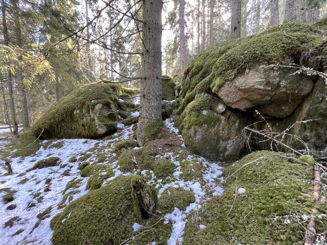 Högstugans naturreservat