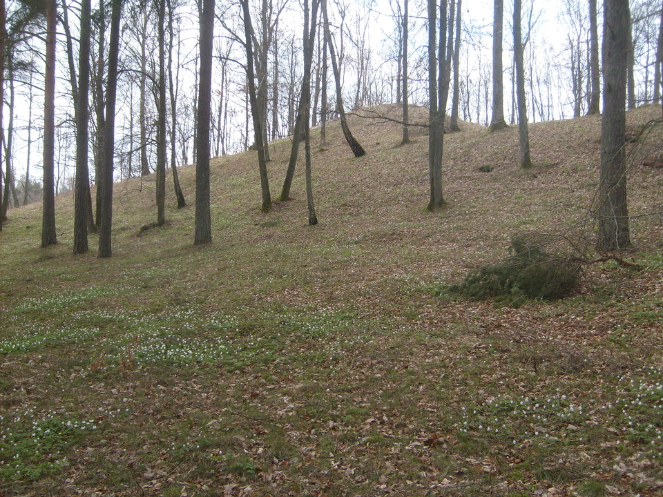 Kungagraven.