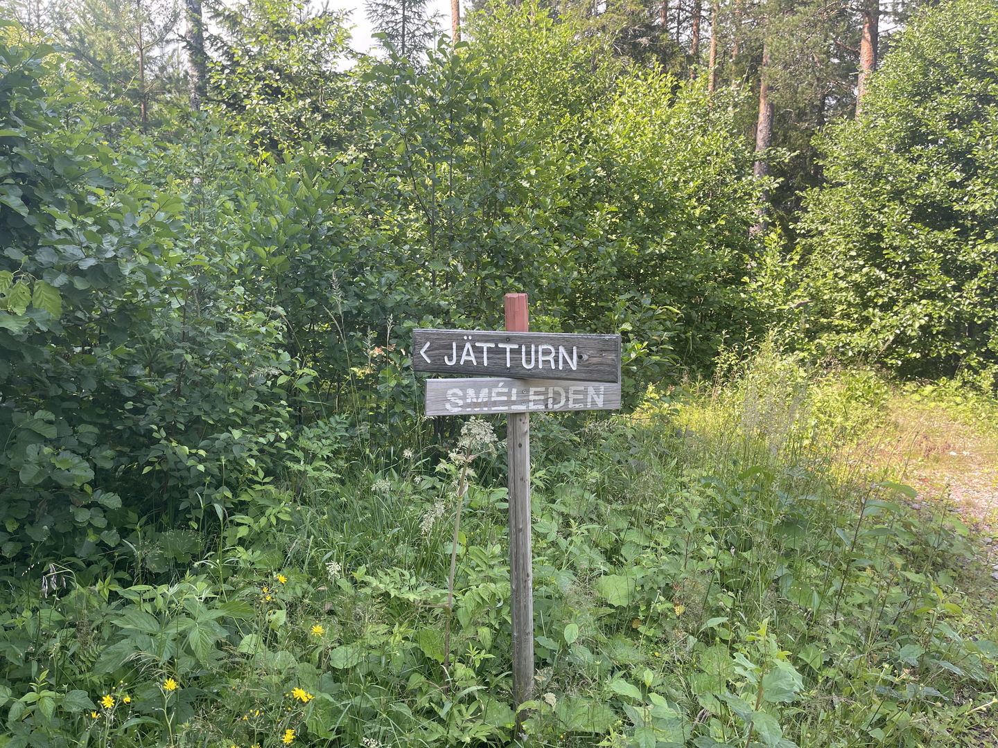 Skylt mot Jätturn