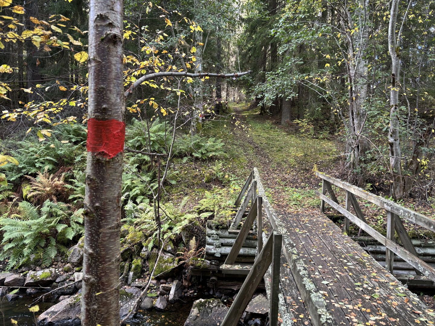 Bron över Lumsån/Hedströmmen