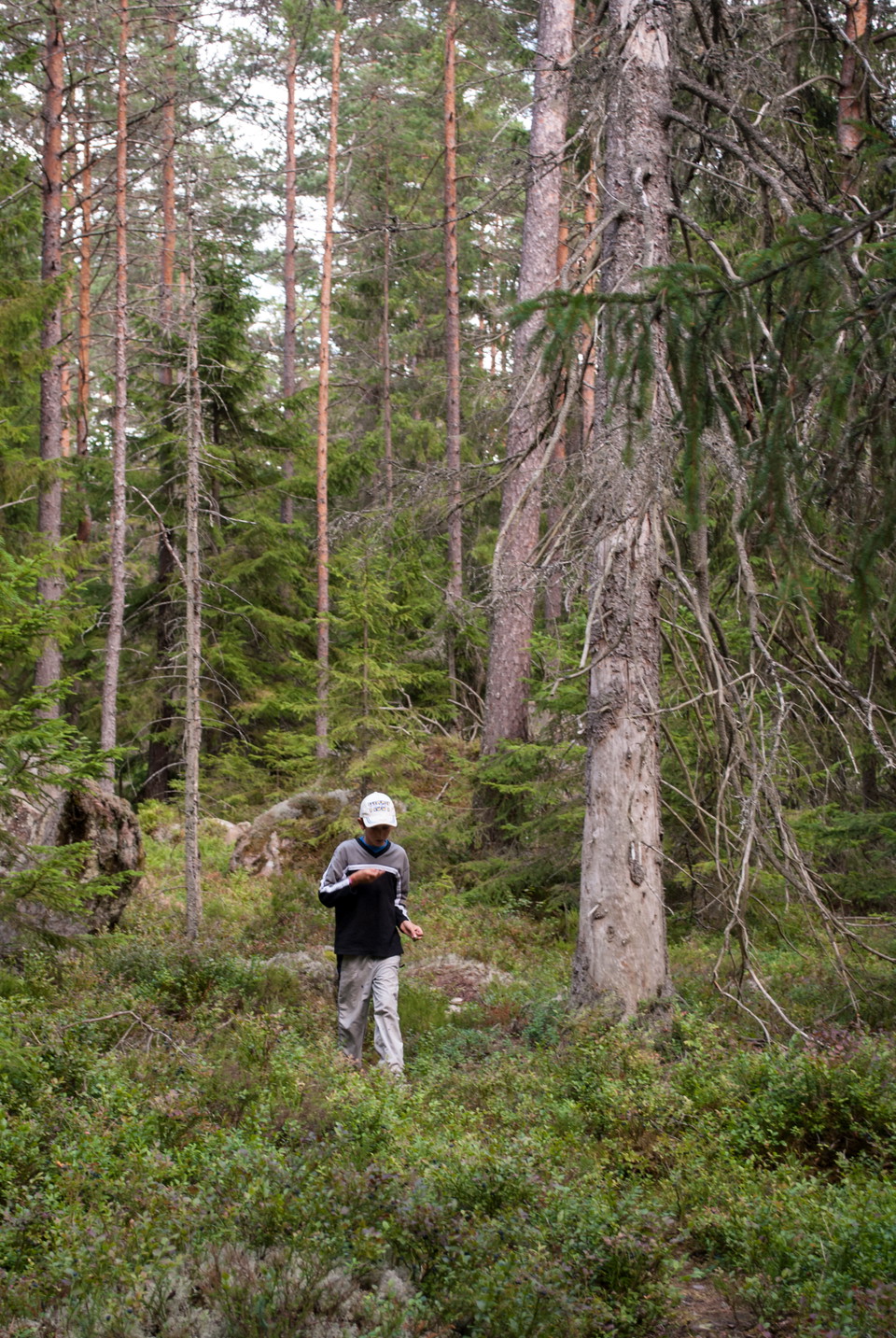 Fotograf: Tobias Ivarsson