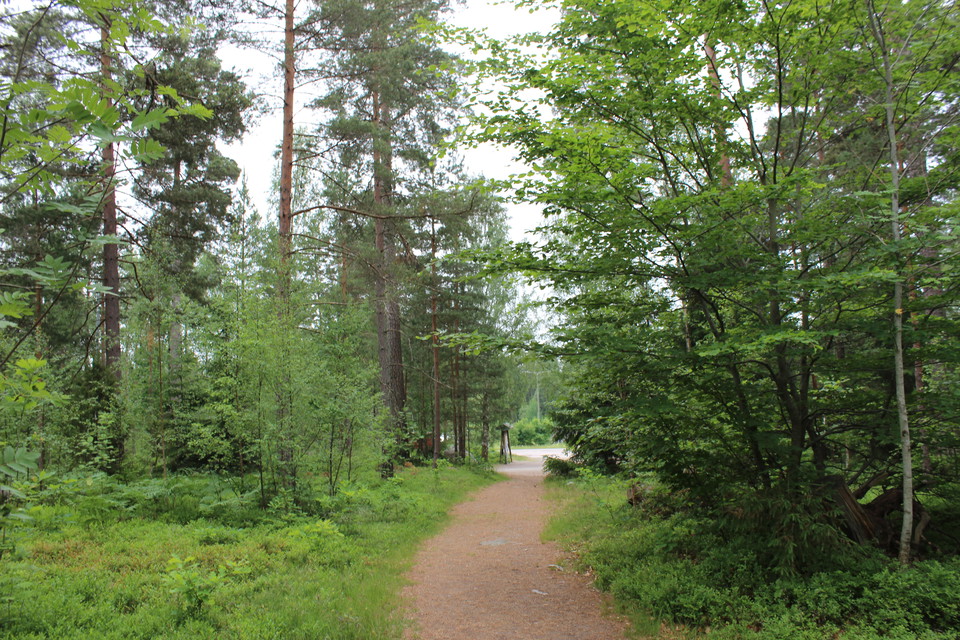 Många stigar