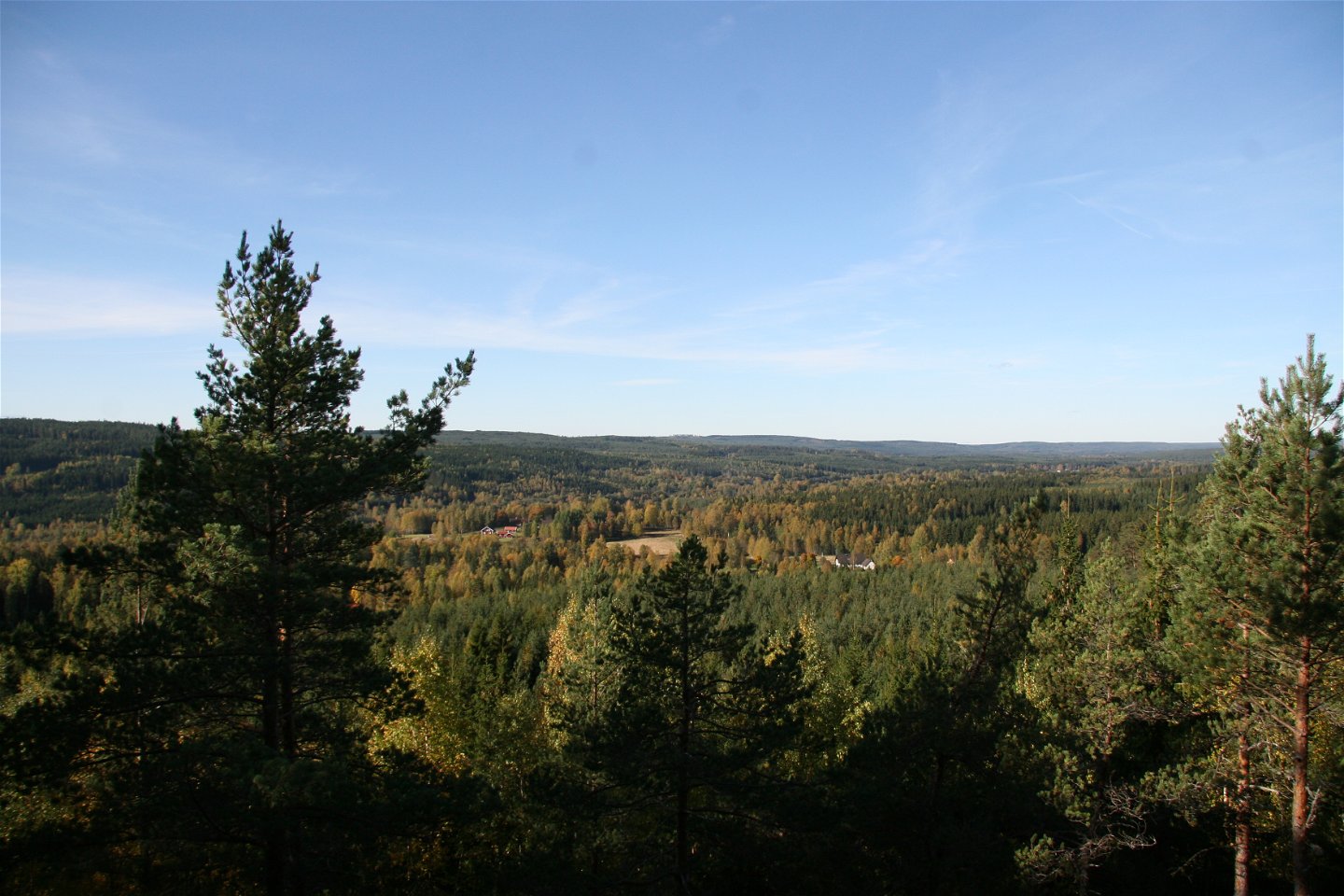 Utsikt över ett skogslandskap med lite åkermark insprängt här och där.