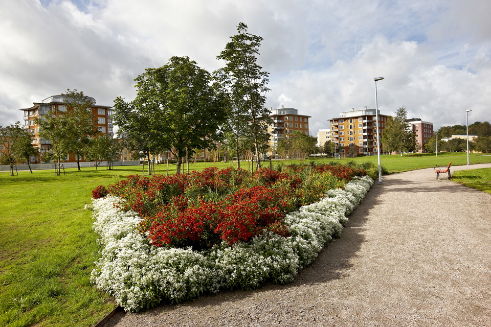 Fotograf: Hans Runesson