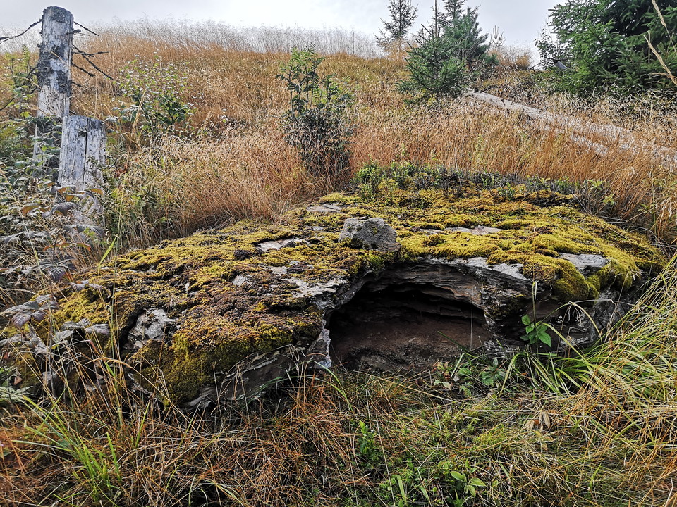 Trollugnen