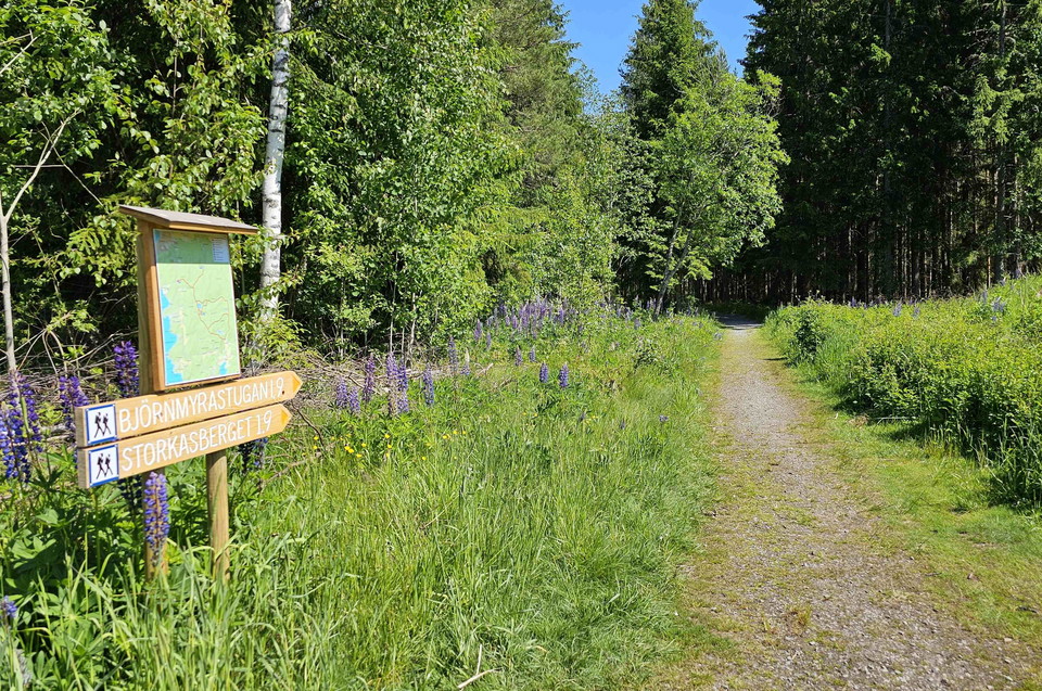 Ledkarta och skyltar vid vandringsled. 