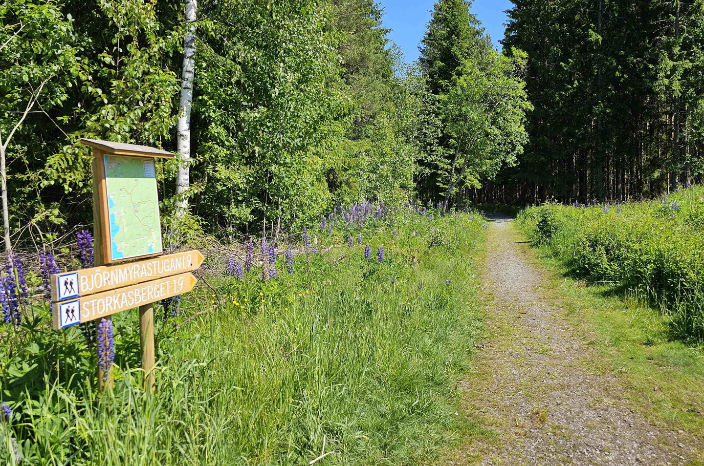 Ledkarta och skyltar vid vandringsled.
