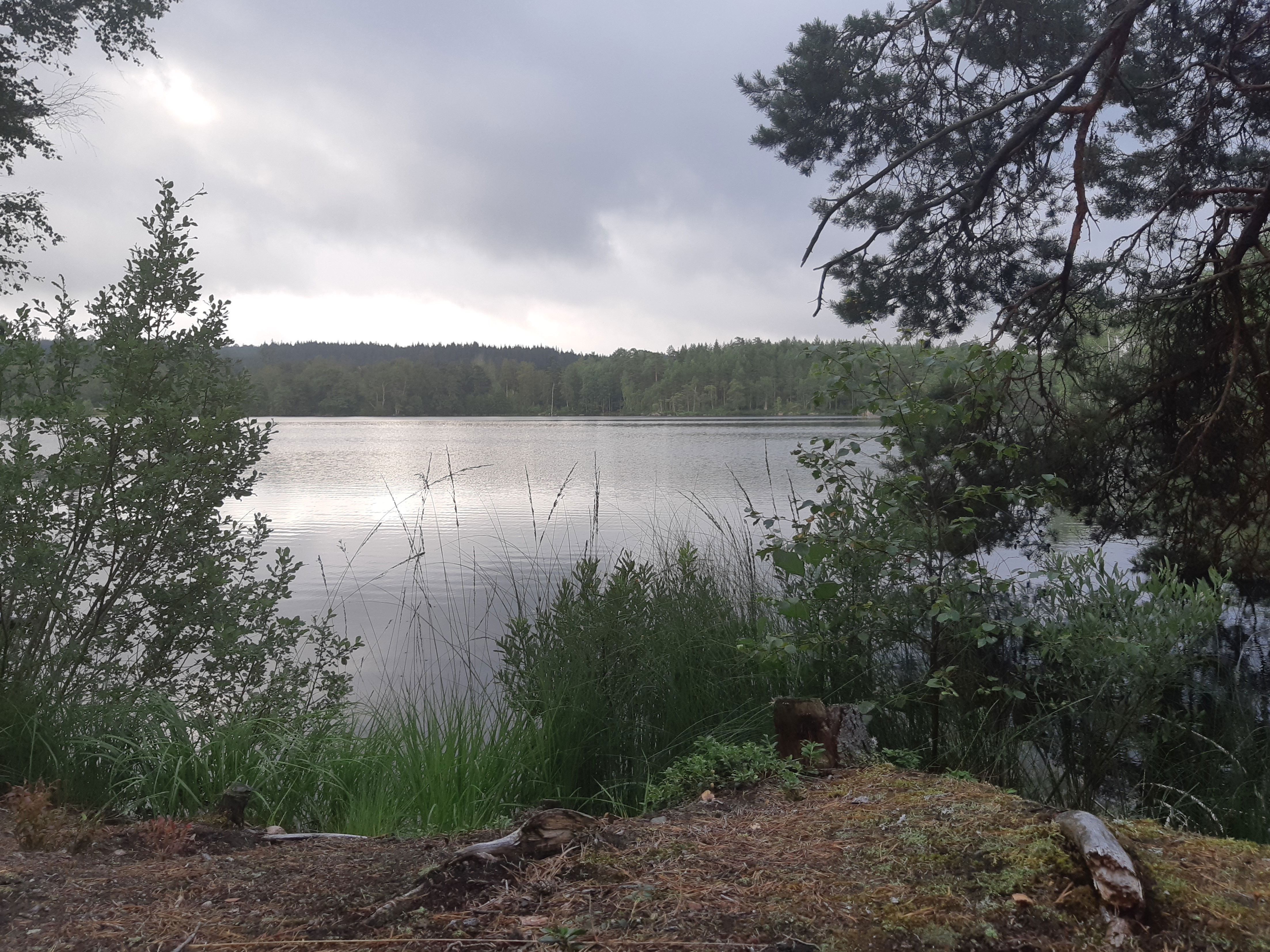 Rastplats Hedasjön