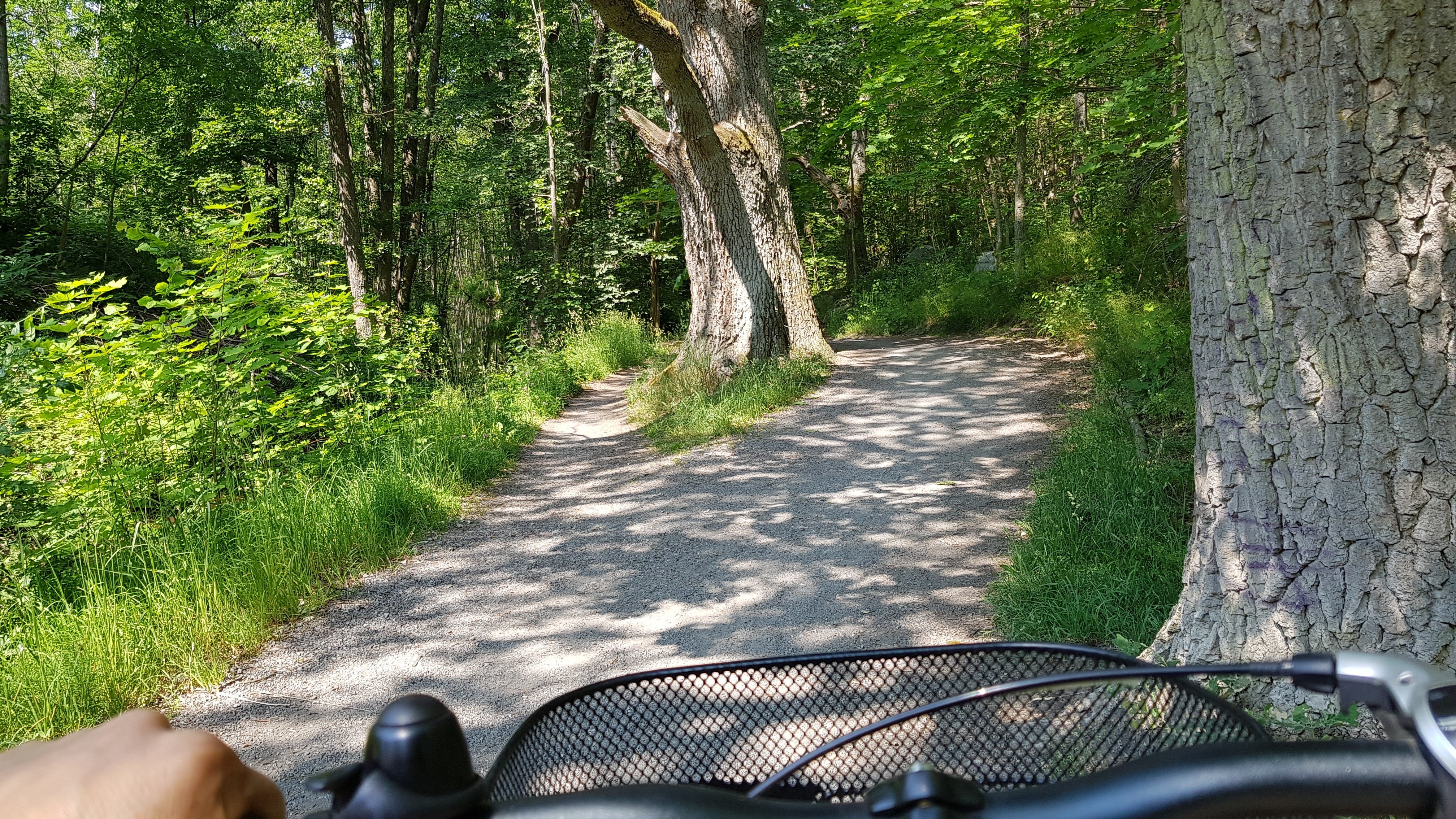 Cykelväg vid Kottlasjön. Foto Lidingö stad