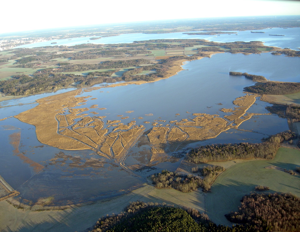 Flygfoto över Asköviken och dess strandängar.