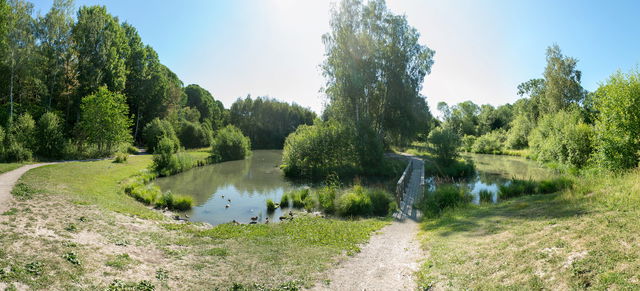Fågelskådning vid Kräppladammen