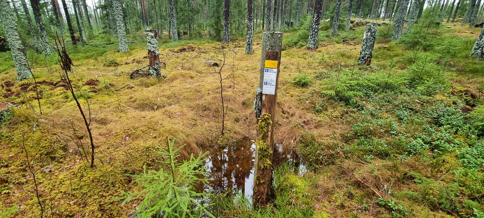 Fångstgrop intill Kolkojan