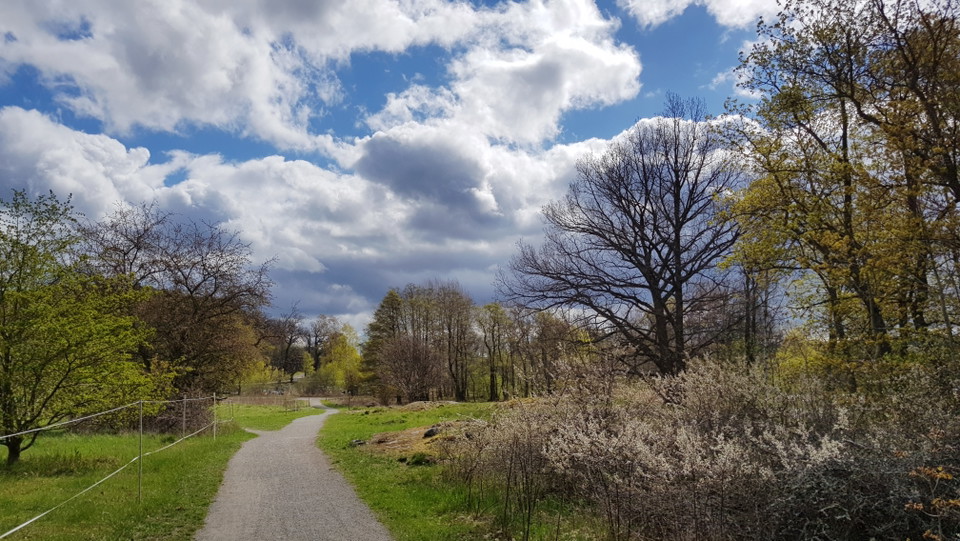 Stig vid Hustegaholm. Foto Lidingö stad