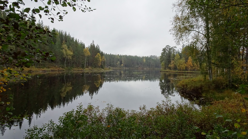 Höstbild. Stora Abborrtjärn. Möjlighet till fiske.