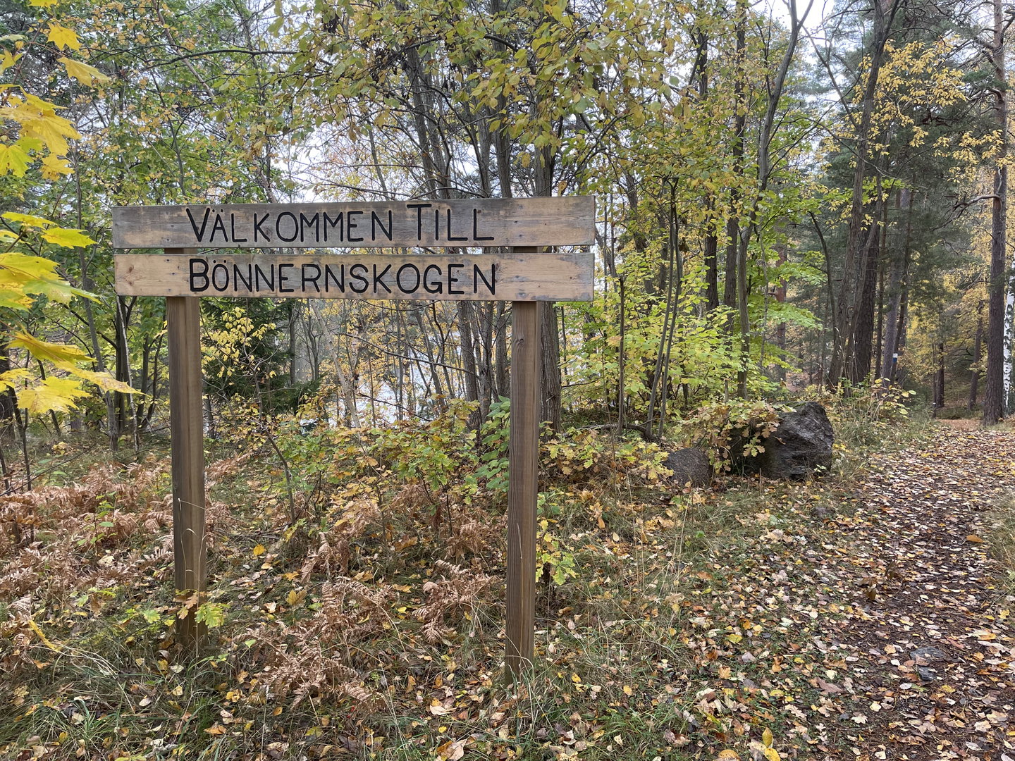 Bönnernskogen