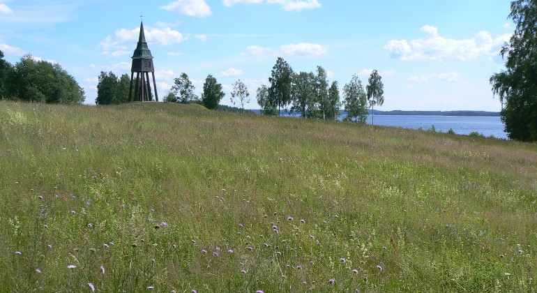 Vy över blommande slåtteräng med klockstapeln och en skymt av sjön Yngen.