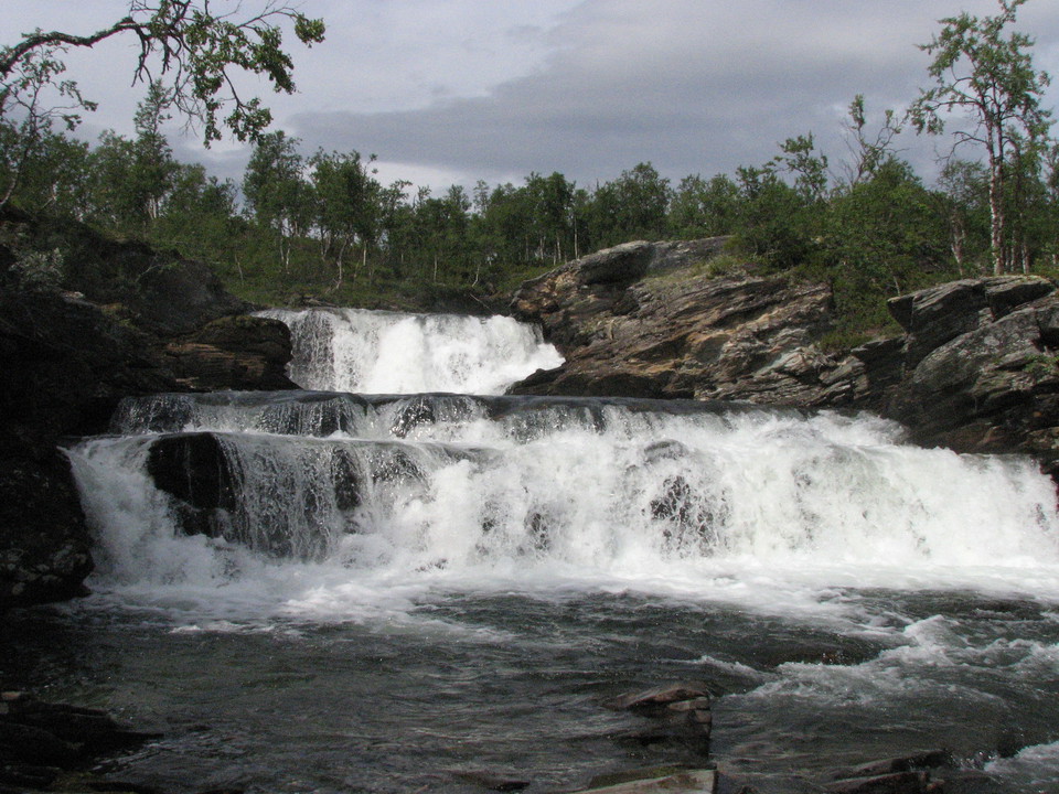 Salviejuhka.