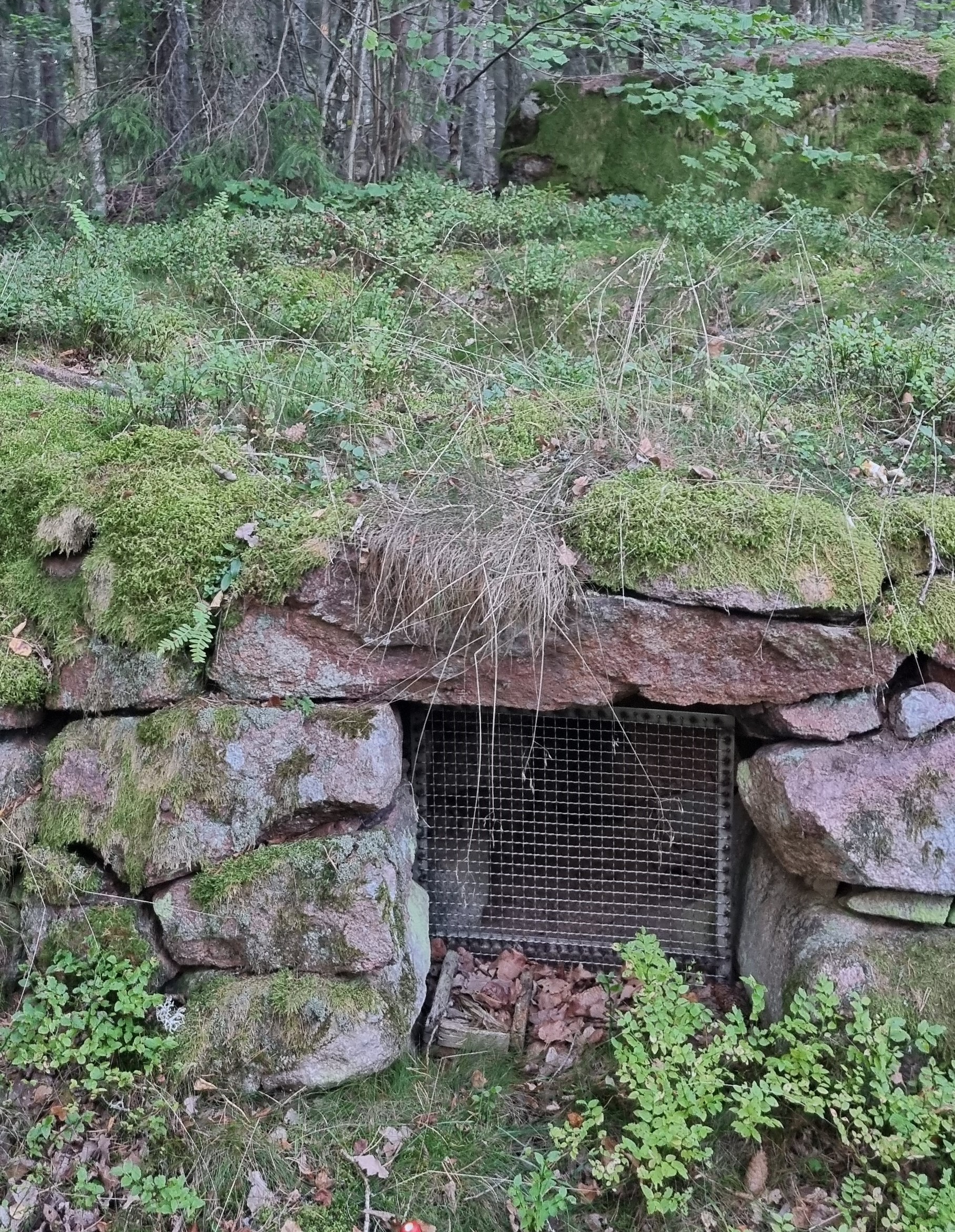 Besök den välbevarade tjärdalen.