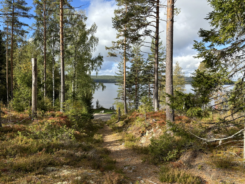 Vy över Malingsbosjön