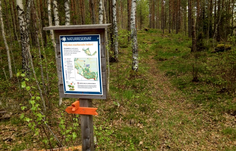 Södra slingan