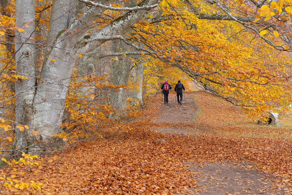 Välkommen till Östgötaleden!