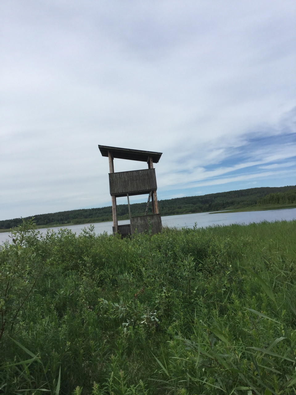 Fågeltorn