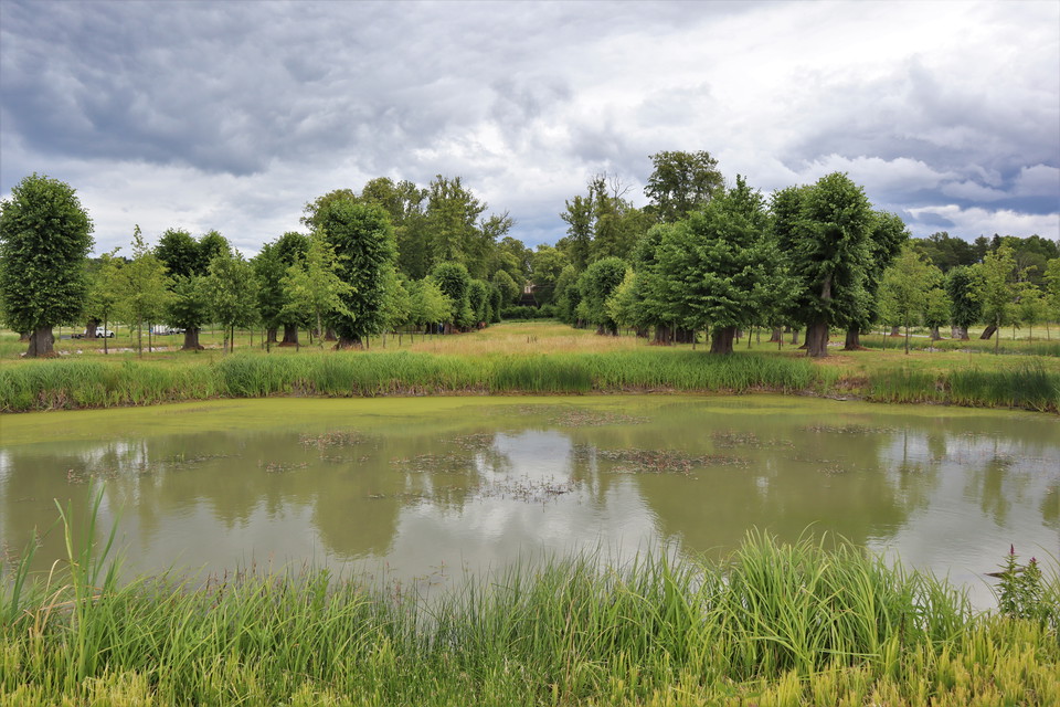 Utblick över Barockparken med en av dammarna i förgrunden och slottet Stora Wäsby i bakgrunden.