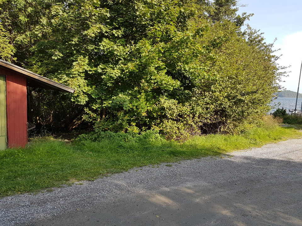 Vägen mot Duvholmens brygga. Foto Lidingö stad.