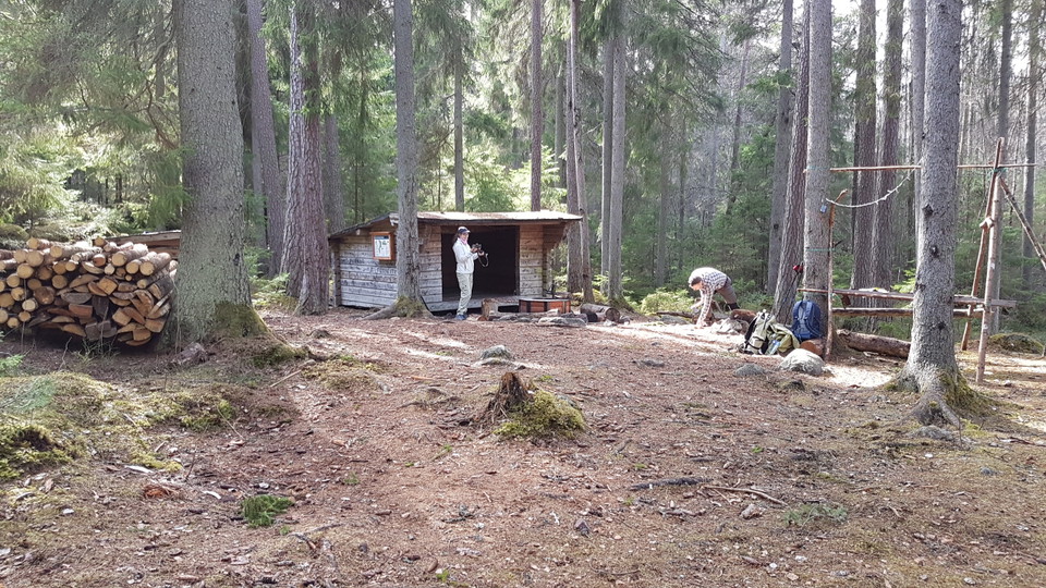 Två personer står vid ett vindskydd i en skogsglänta. 