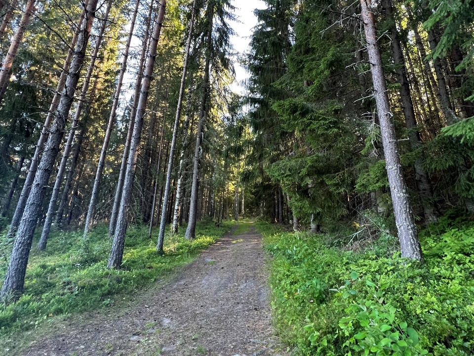 Ljusnanleden